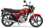 Super Power SP 110 Cheetah